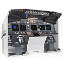 737NG MIP PRO 2 - Completo